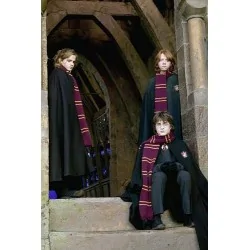 Šála Harry Potter Nebelvír 190 cm