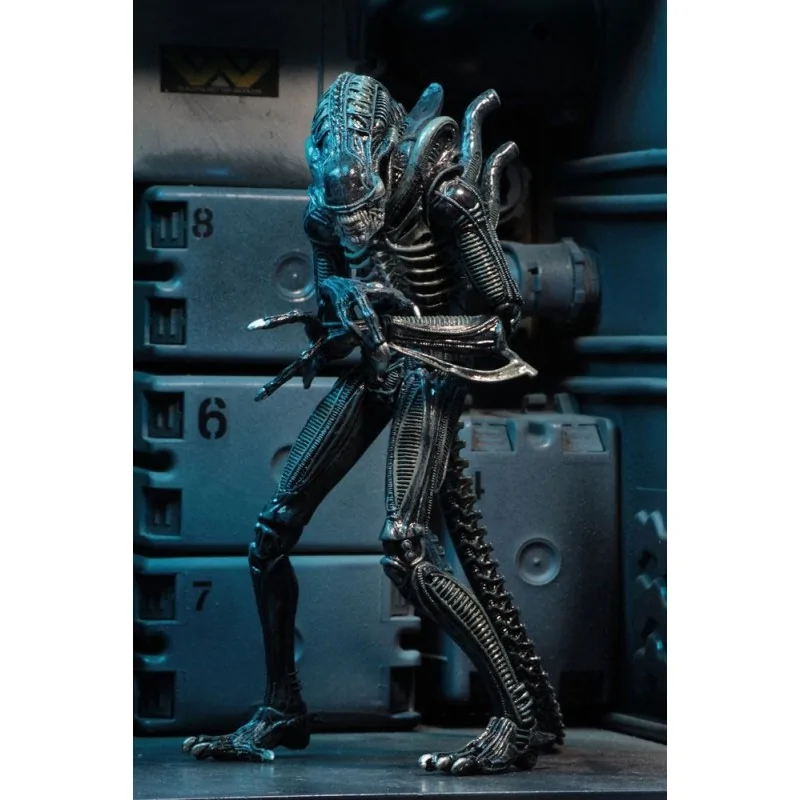 Action figure Aliens Warrior Blue 23 cm